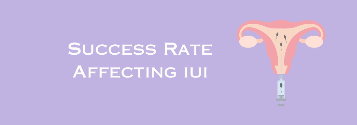 Factor Affecting Success of IUI