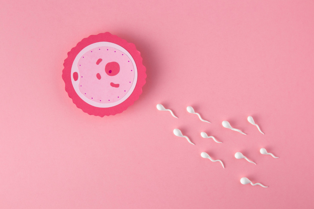 Preparing for Successful IVF Treatment: A Comprehensive Guide